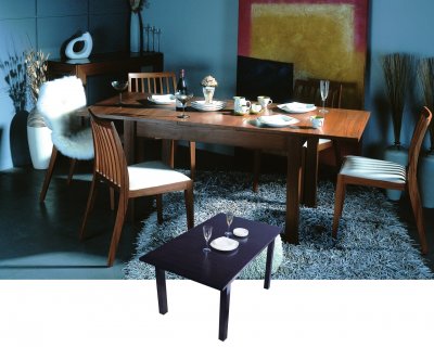 Teak Furniture  on Teak Or Wenge Finish Stylish And Functional Dining Set At Furniture