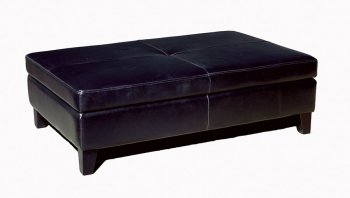 Black Color Leather Ottoman With Storage [WIO Y-192 Black]