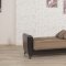 Bella Vista Sofa Bed in Brown Fabric by Casamode w/Options