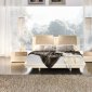 Diamond Ivory Bedroom by Rossetto w/Optional Casegoods