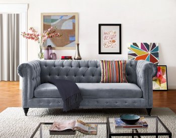 Hanny Sofa TOV-S48 in Grey Velvet Fabric by TOV Furniture [TVS-TOV-S48-Hanny Grey]