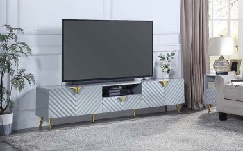 Gaines TV Stand LV01134 in Gray by Acme [AMTV-LV01134 Gaines]