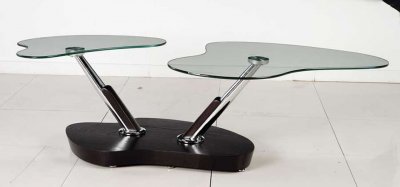 Dark Wenge Finish Artistic Coffee Table W/Smoked Glass Tops