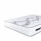 Select 12" Orthopedic Mattress SS478004 by Spectra