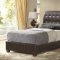 G2595 Upholstered Bed in Dark Brown Leatherette by Glory