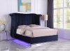 LCL-B03 Upholstered Bed in Dark Blue Velvet