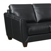 Anthony Sectional Sofa Chaise in Black Leather Match