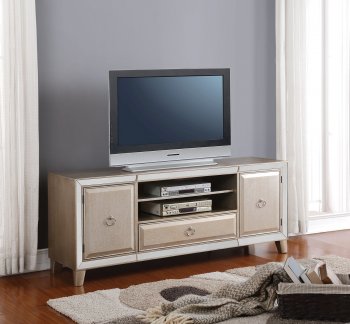 Voeville 91203 TV Stand in Platinum by Acme w/Optional Wall Unit [AMTV-91203-Voeville]