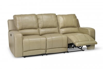 Terrence Power Reclining Sofa & Loveseat in Leather Match