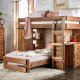 Beckford Twin/Twin Student Loft Bed AM-BK600 in Mahogany