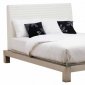 White or Black Nauga Modern Platform Bed w/Brushed Steel Frame