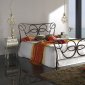 Contemporary Black Color Metal Frame Bed