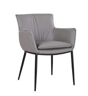 Kani Dining Armchair Set of 2 in Gray Leather by J&M