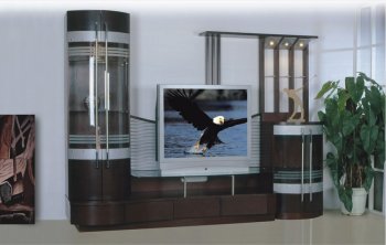 Wenge Finish Modern Wall Unit With Display Cabinet [EFTV-A2-052 Wenge]