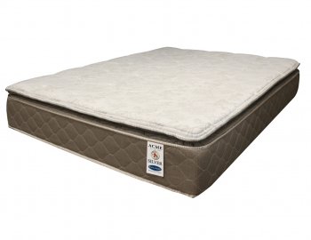 Englander Silver 12" Mattress 29132 by Acme [AMMA-29132 Englander Silver]