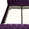 Noella CM7128PR Upholstered Bed in Purple Fabric