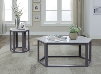 Reon 3Pc Coffee & End Tables Set 82450 in Gray by Acme [AMCT-82450-Reon]