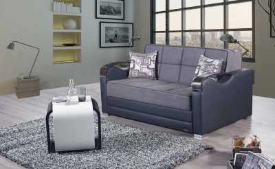 Etro Prime Loveseat Sleeper in Gray Fabric by Mobista