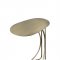 Cirus Accent Table AC00594 in Antique Brass by Acme