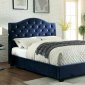 Betelgeuse Bed CM7421NV in Navy w/LED Light Headboard