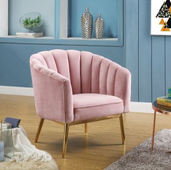 Colla Set of 2 Accent Chairs 59814 in Pink Velvet & Gold by Acme [AMAC-59814-Colla Pink]