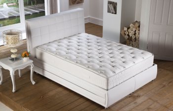 Mamie Mattress by Sunset Furniture [IKMA-Mamie]