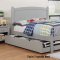 Caren 4Pc Youth Bedroom Set CM7902GY in Gray w/Options