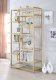 Lecanga Bookshelf 92480 in Gold & Glass by Acme