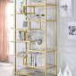 Lecanga Bookshelf 92480 in Gold & Glass by Acme