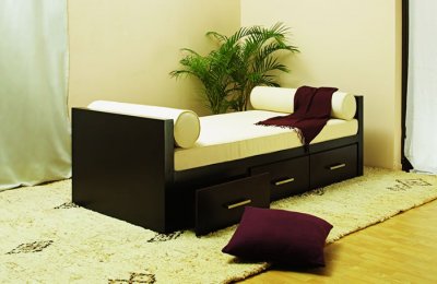 Cappuccino Finish Modern Day Bed