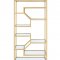 Lecanga Bookshelf 92480 in Gold & Glass by Acme