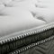 Stormin 13" Euro Pillow Top Mattress DM338 w/Options