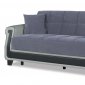 Proline Gray Sofa Bed in Fabric by Casamode w/Options