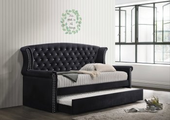 Scarlett Daybed 300642 in Black Velvet by Coaster w/Trundle [CRKB-300642 Scarlett]