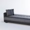 Sidney Bolzoni Gray Sofa Bed & Loveseat Set by Mondi