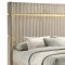 Lucia Bedroom Set 5Pc 224731 in Beige & White by Coaster