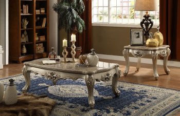 Ranita Coffee Table 81040 in Champagne & Marble by Acme [AMCT-81040-Ranita]