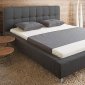 Dark Grey Mond Fabric Modern Queen Size Bed w/Chromed Legs