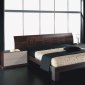 Mahogany Color Matte Finish Contemporary Bedroom Set