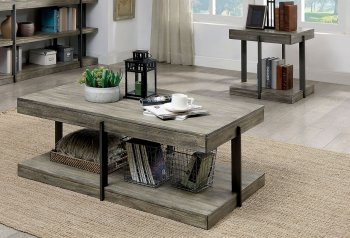 Tual 3Pc Coffee & End Table Set CM4393 in Antique Gray w/Options [FACT-CM4393-Tual]