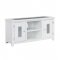 Elizaveta TV Stand DN00822 in White by Acme