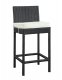 Lift Outdoor Patio Bar Stool Set of 2 Espresso/White by Modway