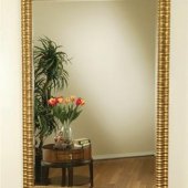 Antique Gold Finish Traditional Wall Mirror