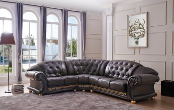 Apolo Sectional Sofa in Brown Leather by ESF w/Options [EFSS-Apolo Brown]