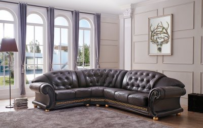 Apolo Sectional Sofa in Brown Leather by ESF w/Options