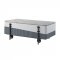 Wilkins Coffee Table LV02187 in Gray & White by Acme w/Lift Top