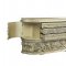 Vatican Server DN00464 in Champagne Silver by Acme