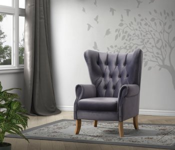 Adonis Accent Chair Set of 2 59517 in Gray Velvet by Acme [AMAC-59517 Adonis]