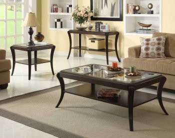 Warm Cherry Finish Transitional Coffee Table w/Glass Inserts [HECT-3253]