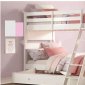 Lacey II 37680 Bunk Bed in White by Acme w/Option